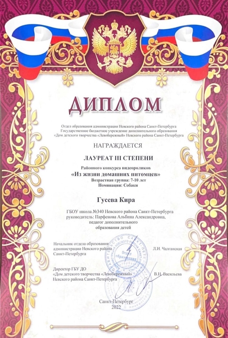 кира Гусева из жизни домашних питомцев